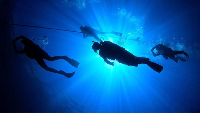 Divers descending from a rope