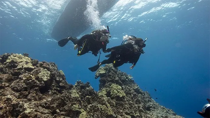 A couple of divers starting their dive.