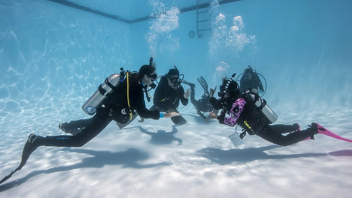 Group of divers practicing in a pool