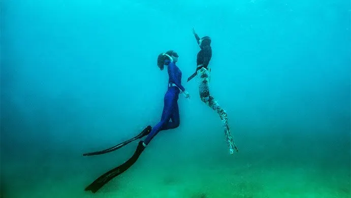 Advanced Mermaid