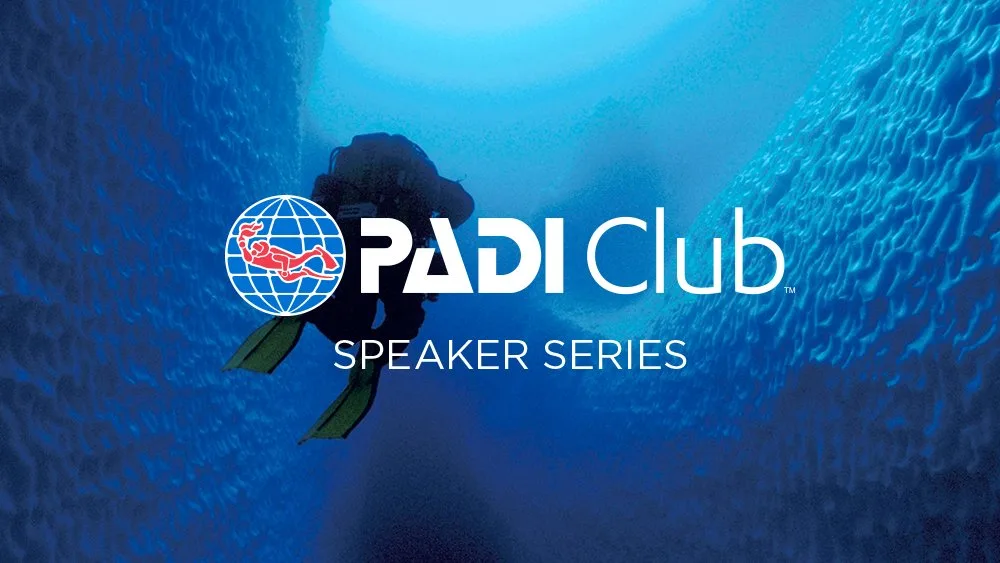 Underwater diver surrounded by ice