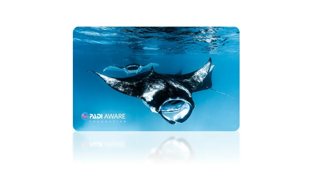 PADI AWARE Mantas in Motion by Rayna O’Nan