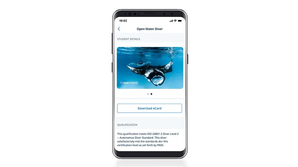 PADI AWARE 雷娜·欧南的蝠鲼动态 eCard