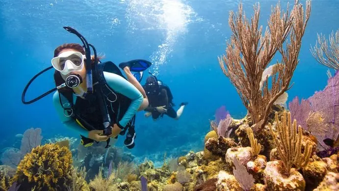 Open Water Diver