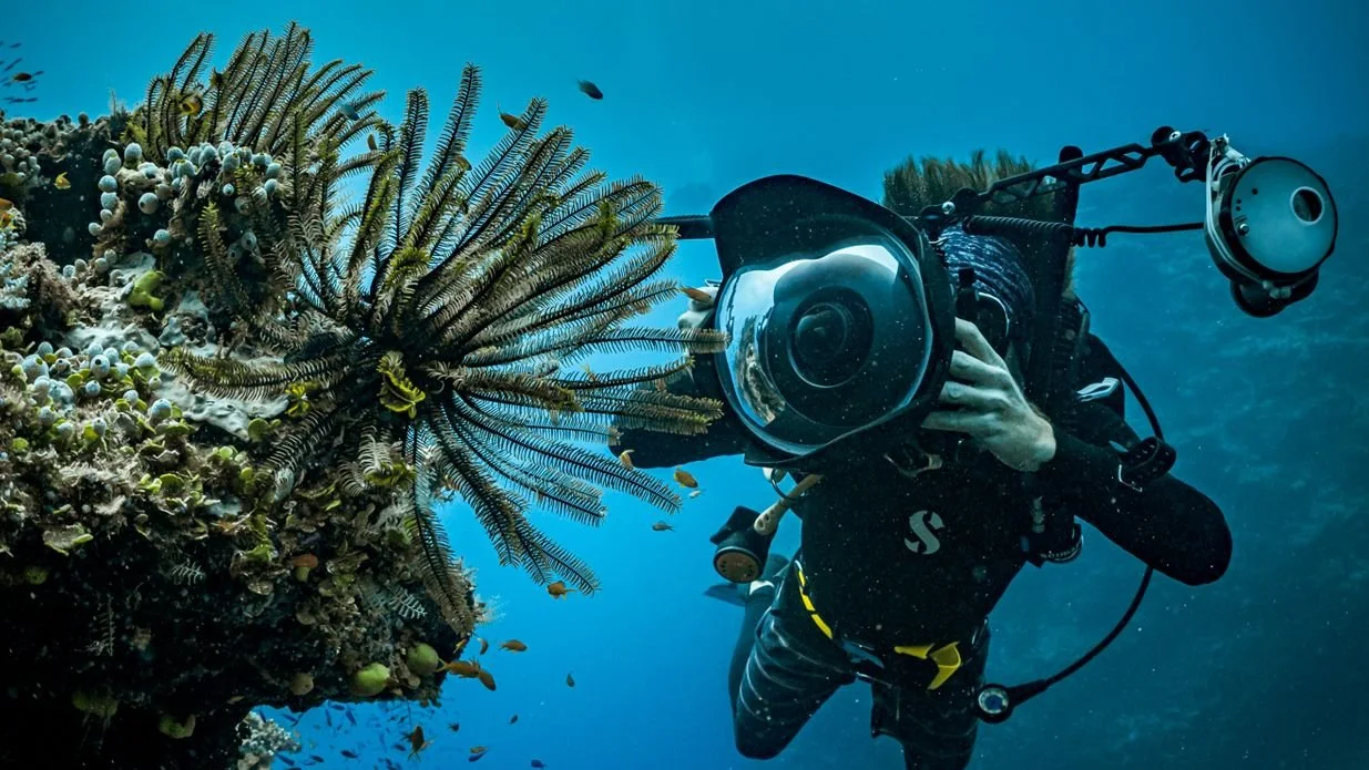 underwater diver taking a photo of a coral