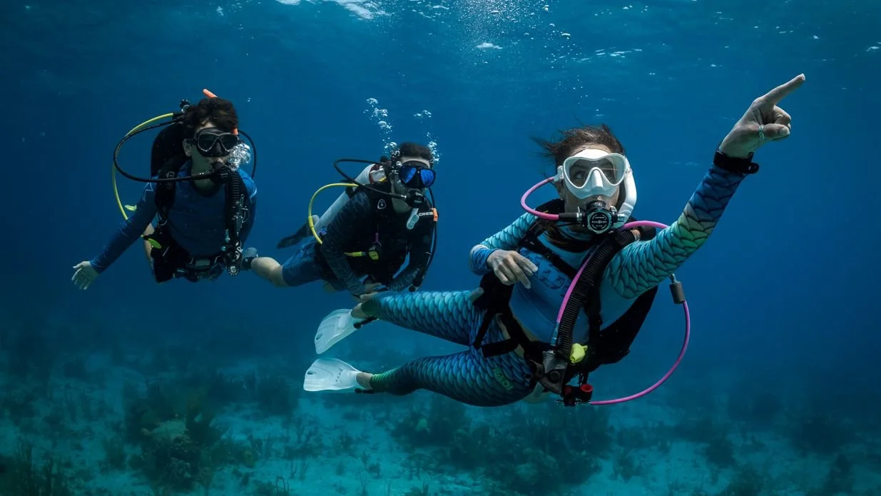 A diver leading group of two more divers