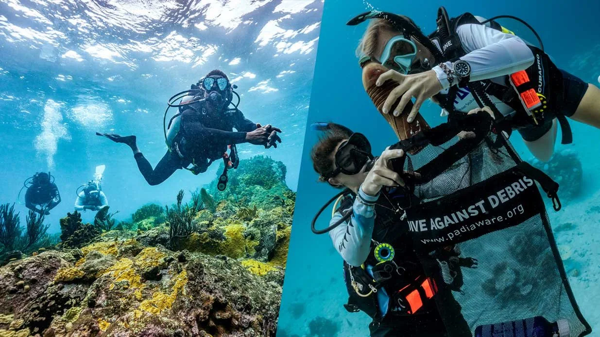 Pacchetto Open Water Diver + Dive Against Debris eLearning