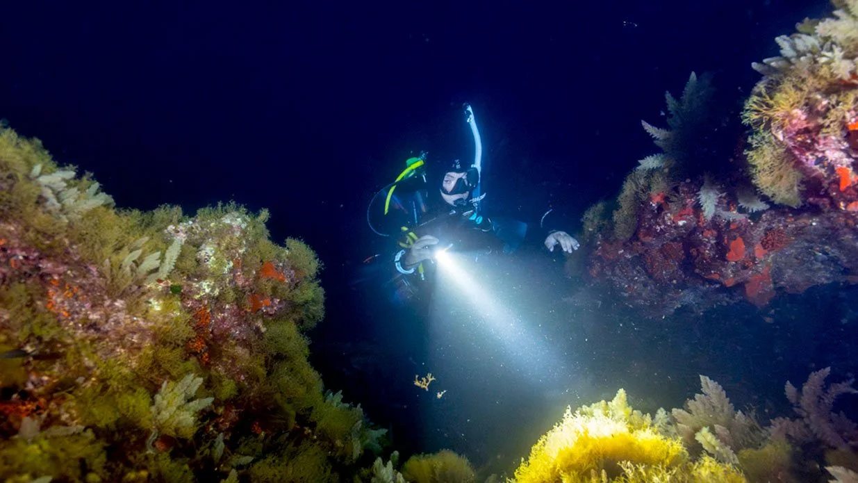 diver at night diving through a ledge with a light