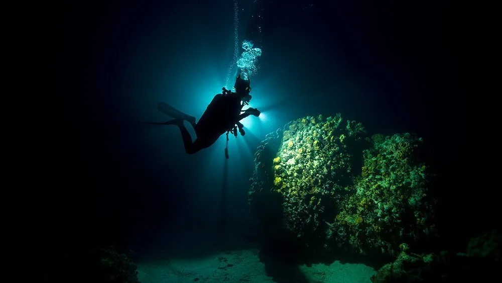 Diver on a night dive