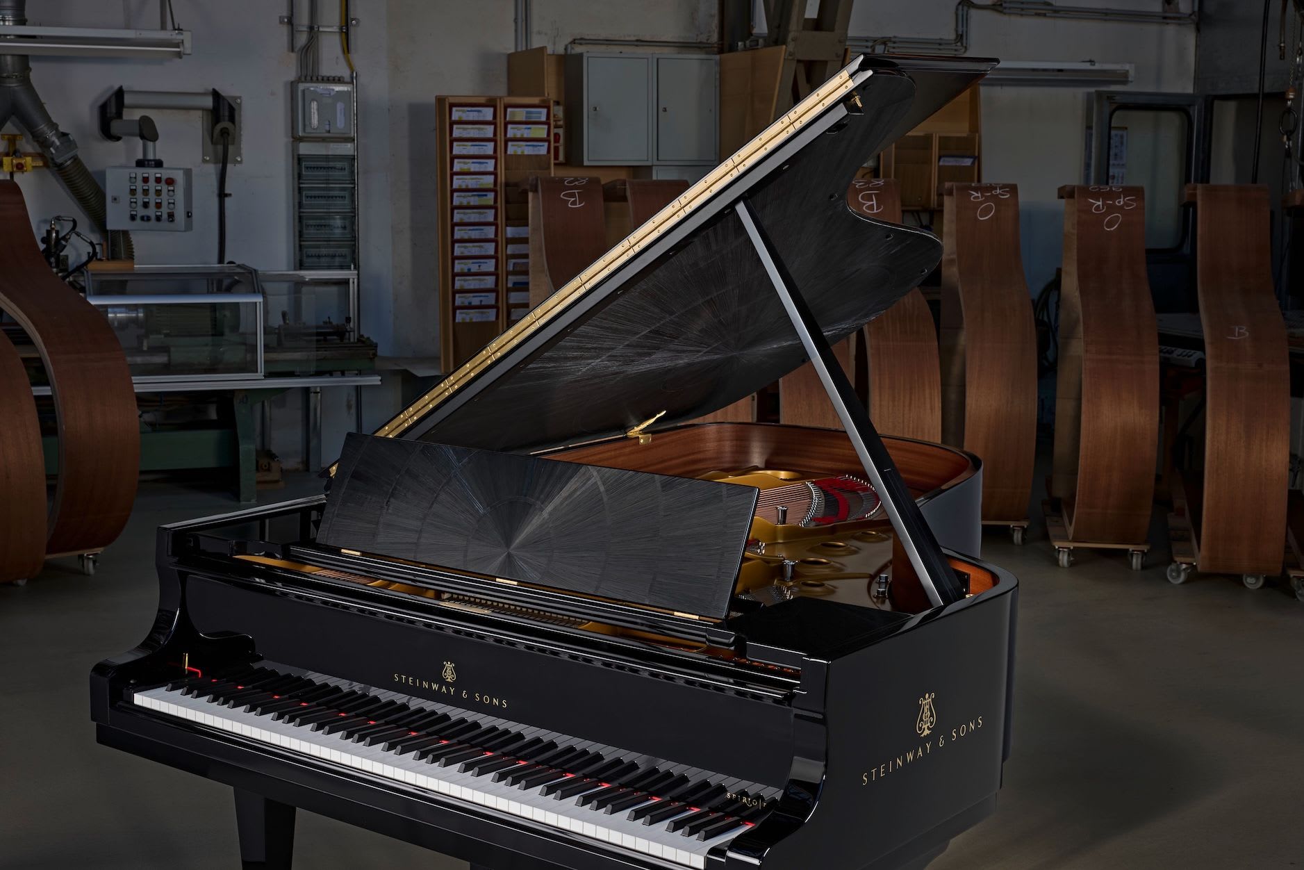 Steinway & Sons x Paelis