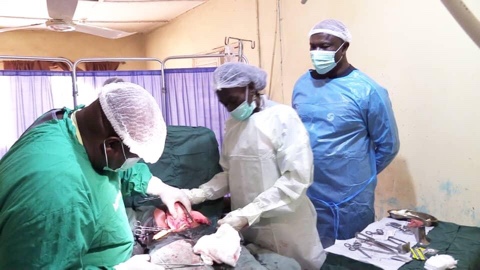 image-30-09-20-10-39-13