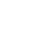 Miami HEAT logo