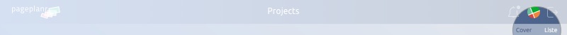 Projects list view