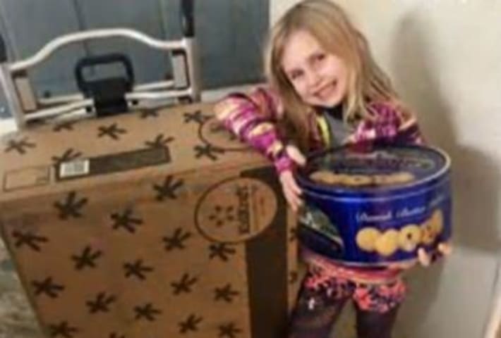 Child orders dollhouse, cookies using Alexa