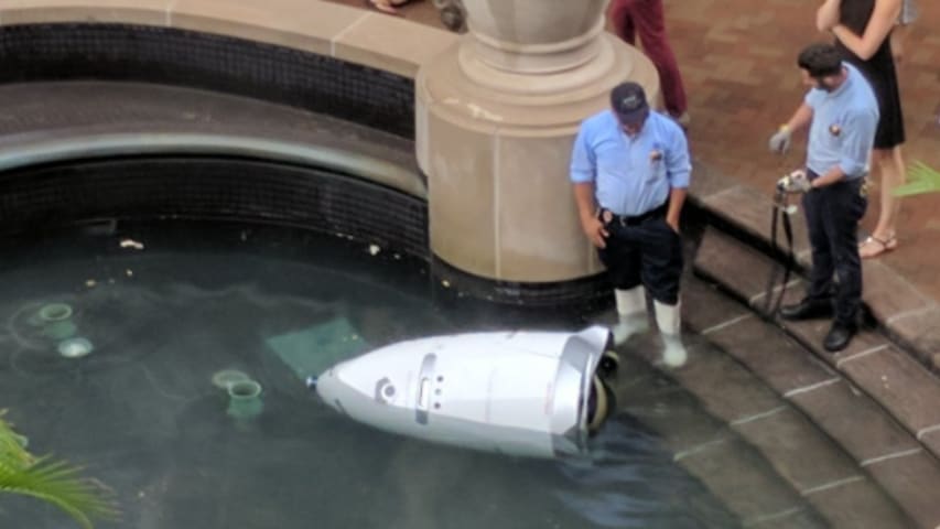 When Robot Face-Plants In Fountain, Onlookers Show Humanity - By Gloating