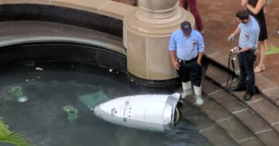 Robot Security Guard 'Drowns Itself' In Water Fountain