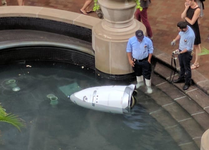 Suicidal robot security guard drowns itself by driving into pond