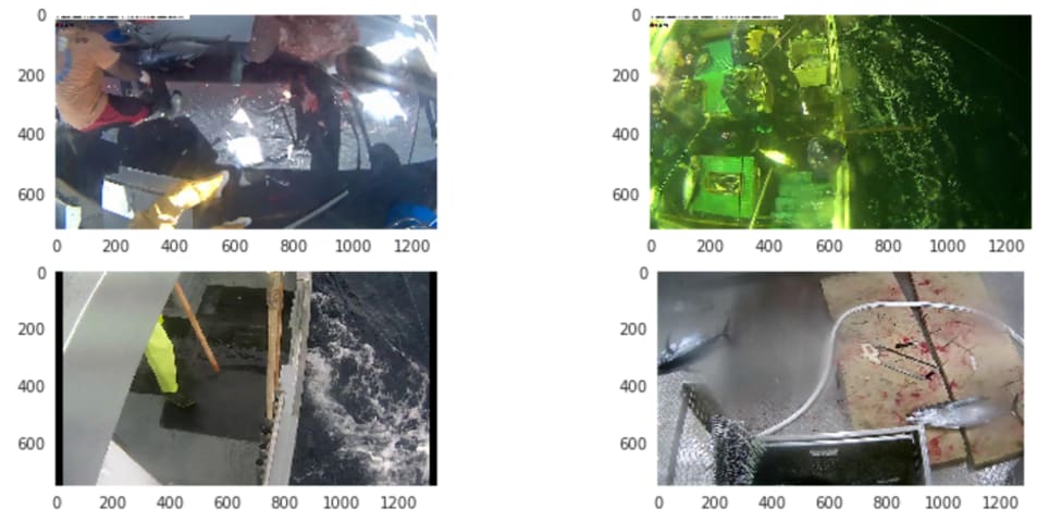 Lo que aprendí de la competencia de pesca de Kaggle