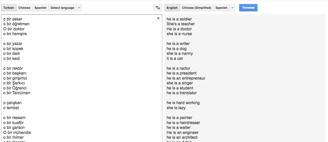 Google Translate's gender bias pairs "he" with "hardworking" and "she" with lazy, and other examples