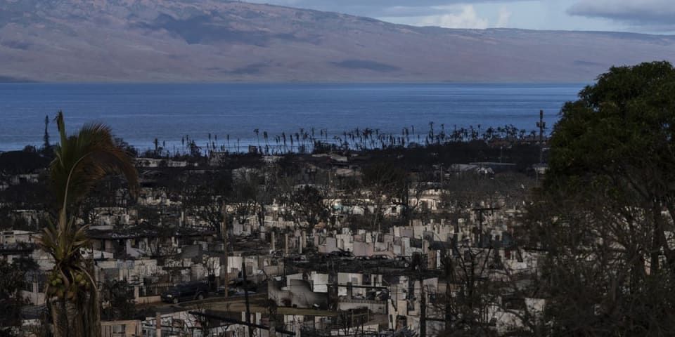 Chercheurs : une campagne de désinformation s'est propagée après que les incendies de forêt ont ralenti la réponse aux catastrophes