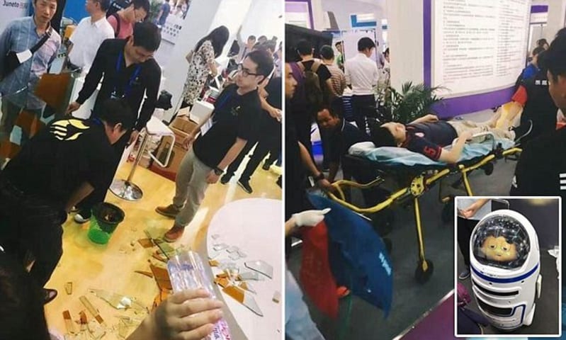 Tech-fair visitor is injured after a robot designed to teach CHILDREN 'loses control' and smashes a booth in China