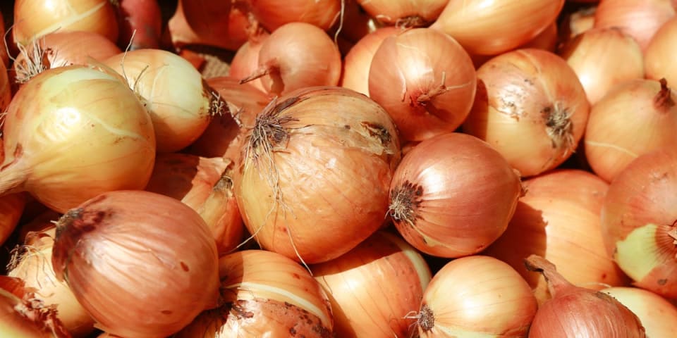 Facebook’s Algorithm Mistook an Advertisement of Onions as Sexual Suggestive Content