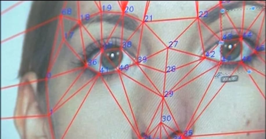 Finnish police denied, then admitted using controversial facial recognition app