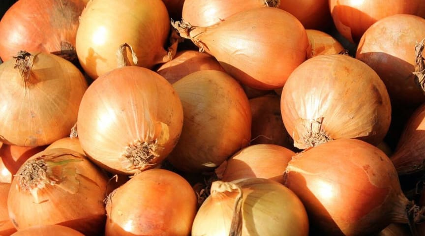 Too Sexy! Facebook’s AI Mistakes Ad for Onions As Nude Content, Blocks for Being ‘Overtly Sexual’