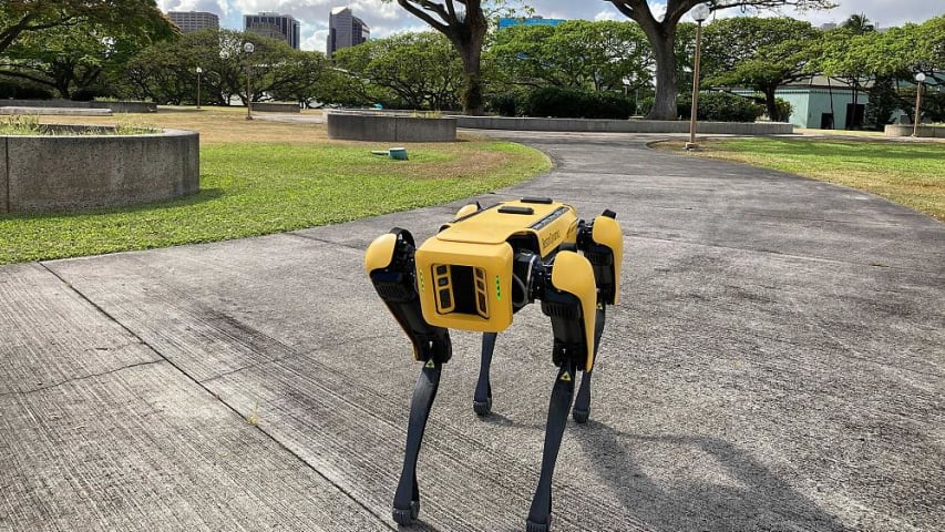 A useful tool or dehumanising? Robot police dog that scans homeless people sparks debate