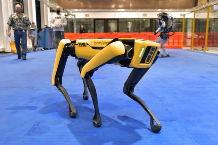 NYPD La course du chien robot est écourtée après un contrecoup féroce