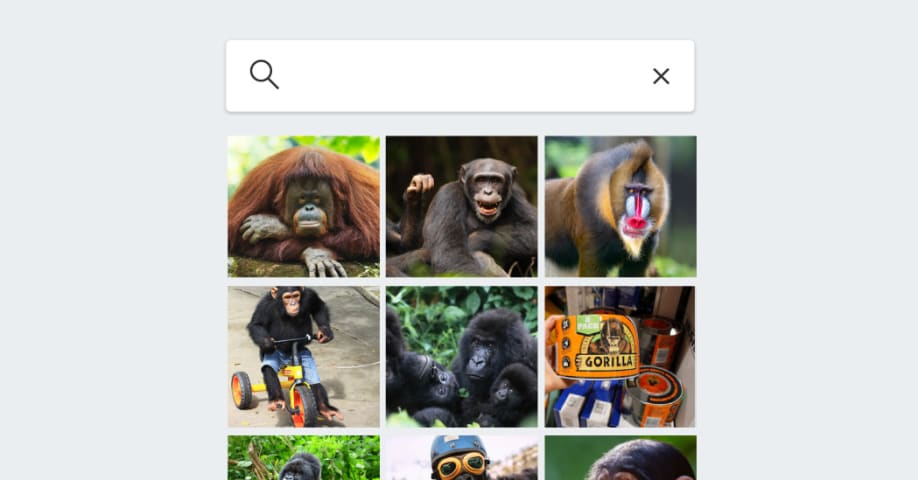 L'application photo de Google ne parvient toujours pas à trouver les gorilles. Et Apple non plus