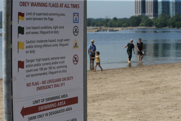 Sûr pour la baignade ? Le nouvel outil de Toronto pour mesurer la qualité de l'eau sur ses plages est trompeur, selon les défenseurs