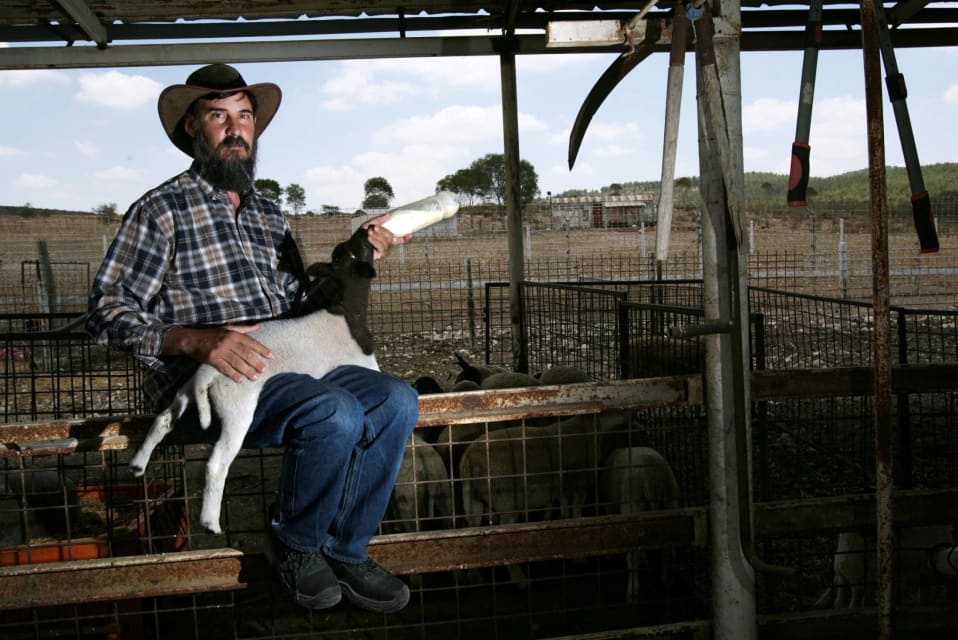 When an Israeli Farmer Declared War on an Algorithm