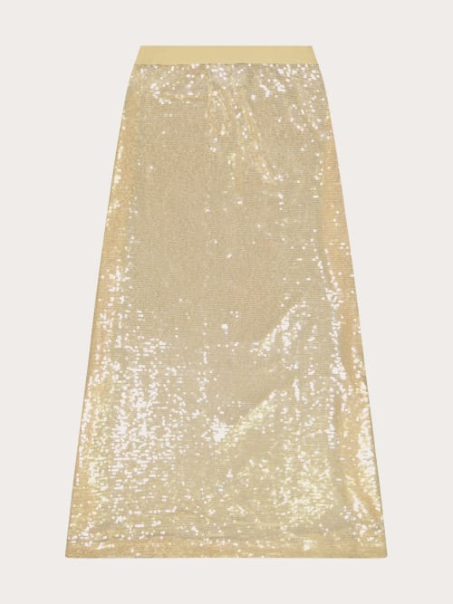 Photo de la pièce Jupe longue beige à sequins disponible à la location en ligne ou dans notre showroom à Paris