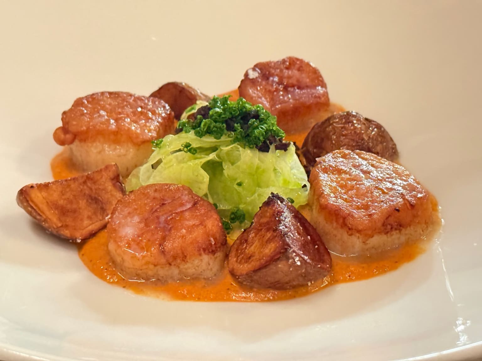 Seared Scallops* at Senia