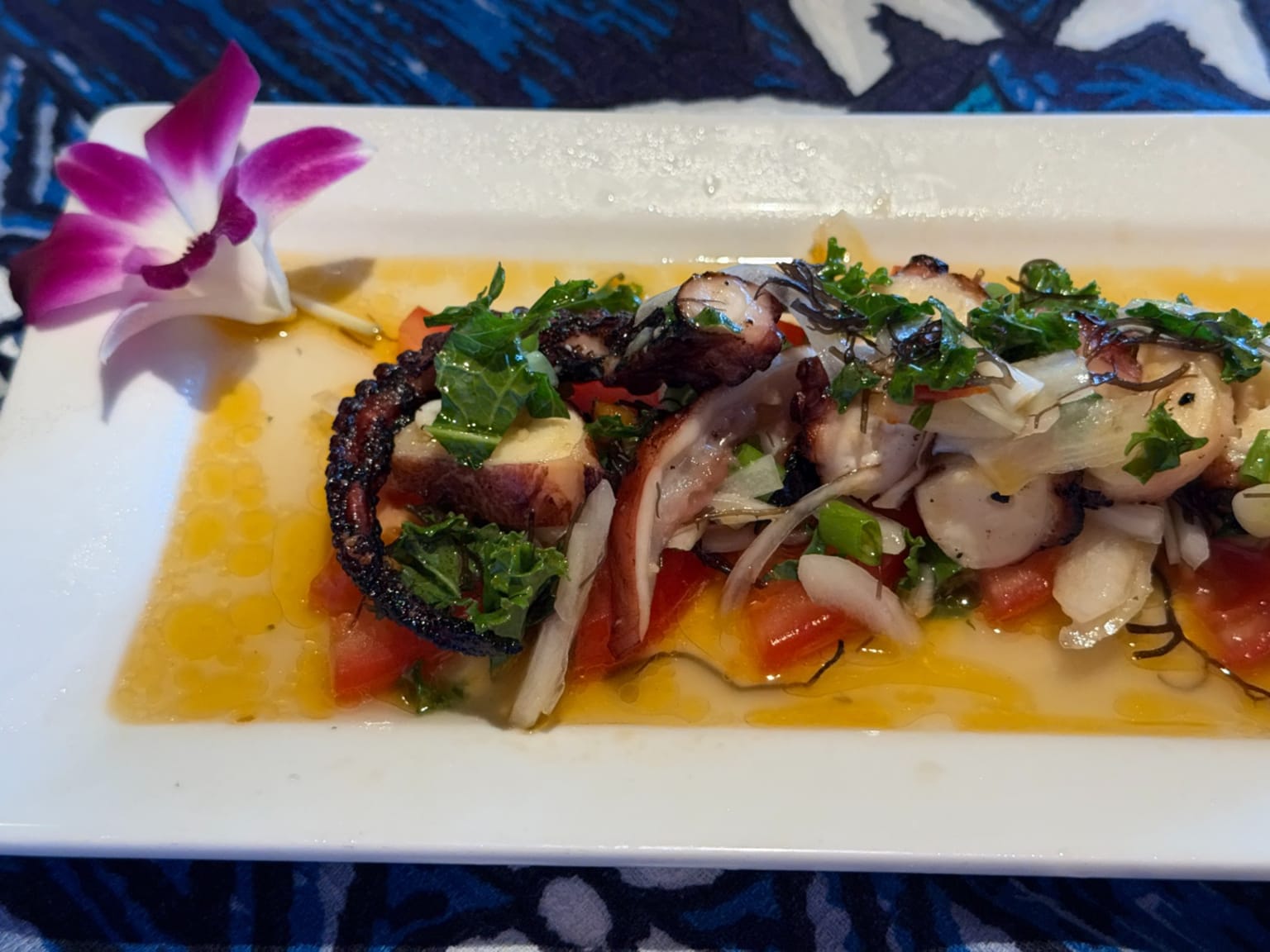 Diver Caught Octopus at Mama's Fish House