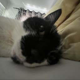 emmaiscool's profile photo