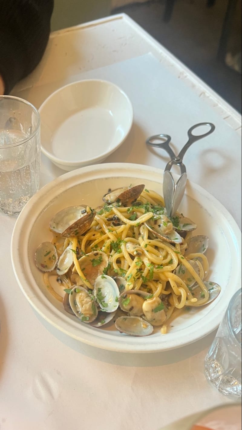 Bucatini, Vongole, Shiitake, Chilli, Garlic at Totti's Rozelle