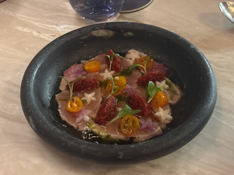 Hamachi Tataki at Senia