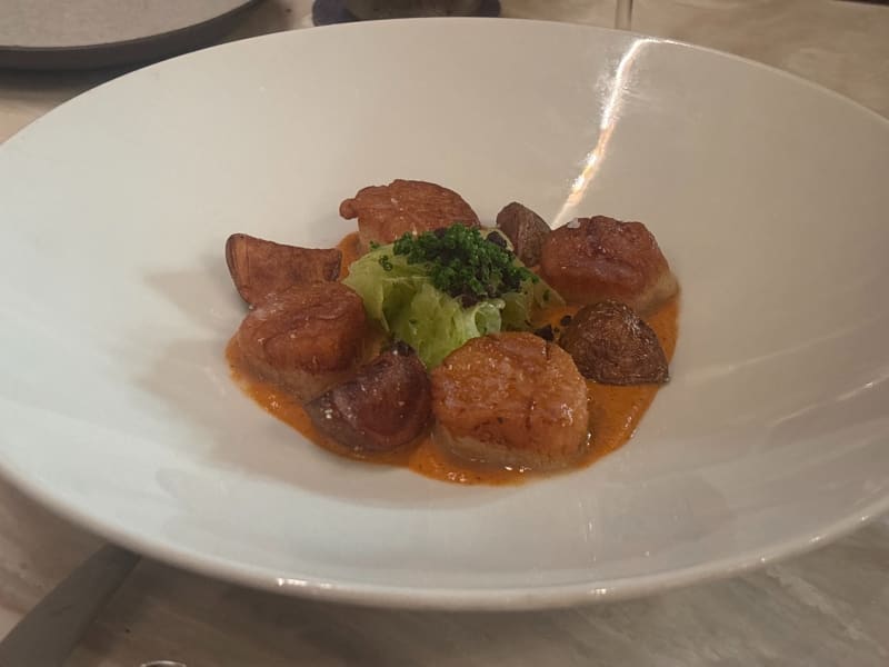 Seared Scallops at Senia