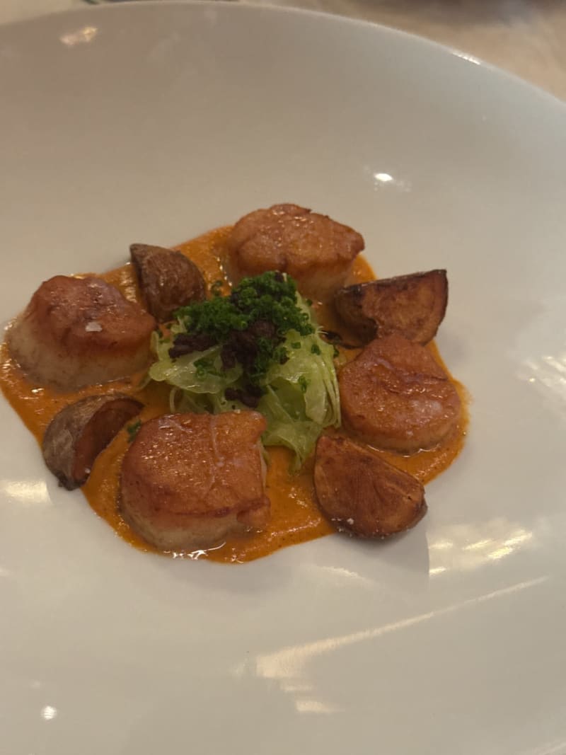 Seared Scallops at Senia