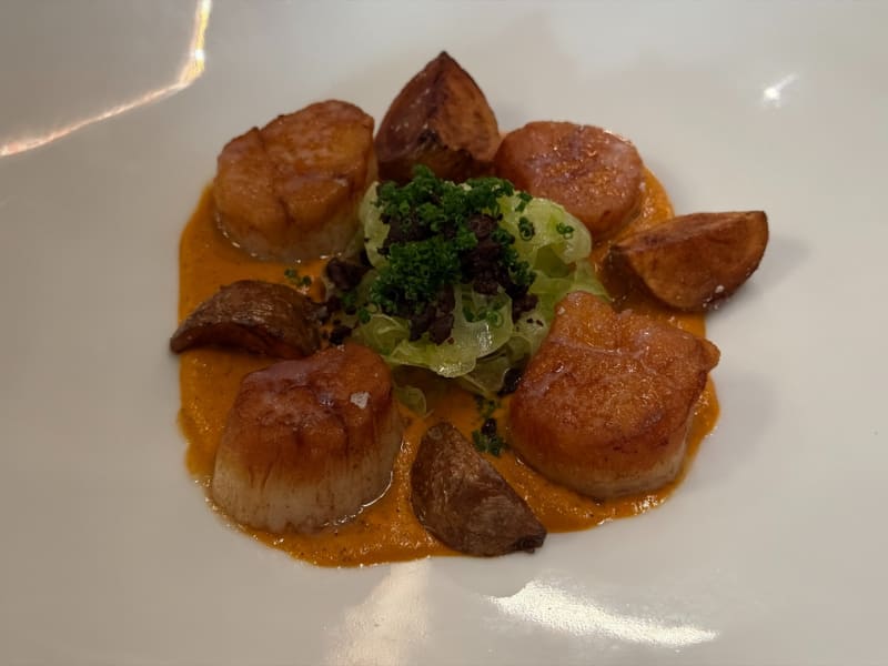 Seared Scallops at Senia