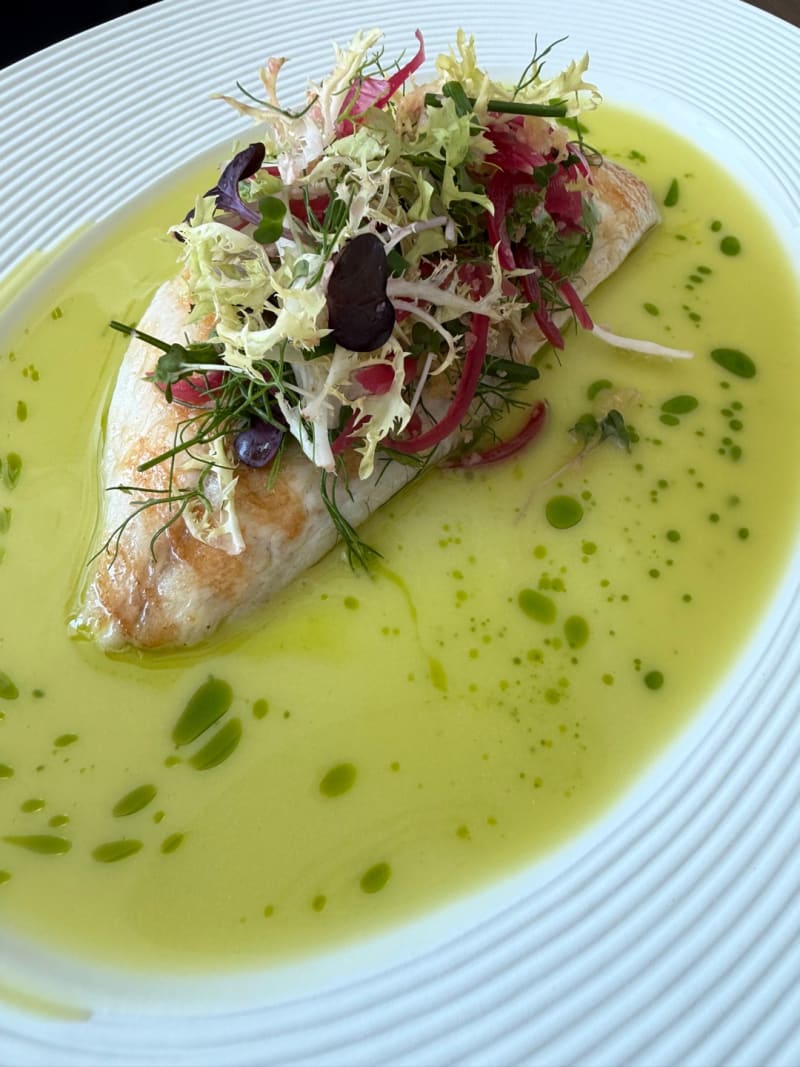 Sea Bream at Commodore Club - Marsa Al Arab
