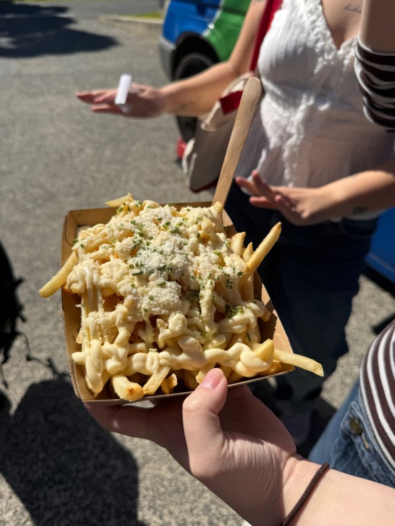 Truffle and Parmesan Fries at Caminito Food Truck