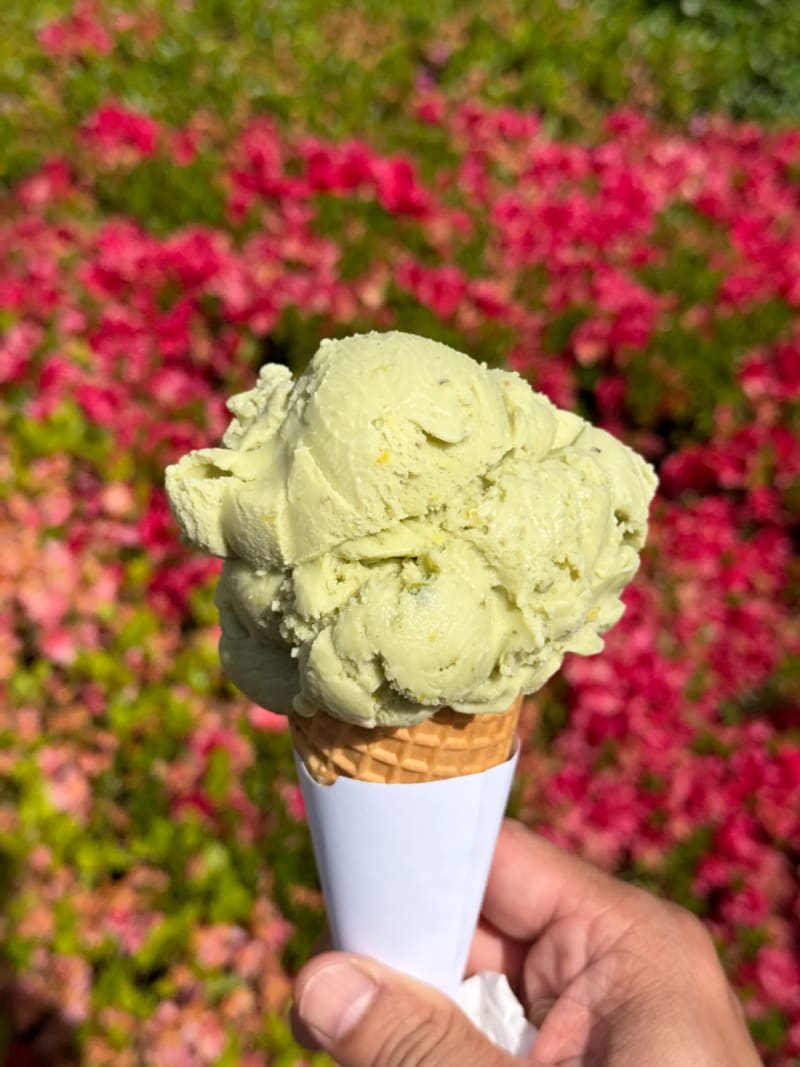 Salted Pistachio Gelato at Josophan's Fine Chocolates