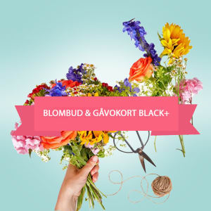 Blombud & Gåvokort Black+