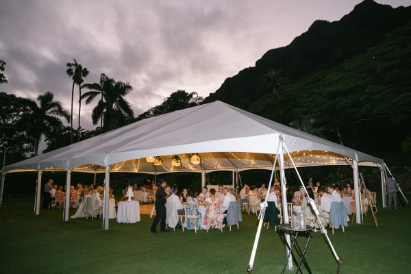 Capturing Love: A Beautiful Intimate Wedding at Kualoa Ranch Oahu with Digital and Film Photography, photo 60
