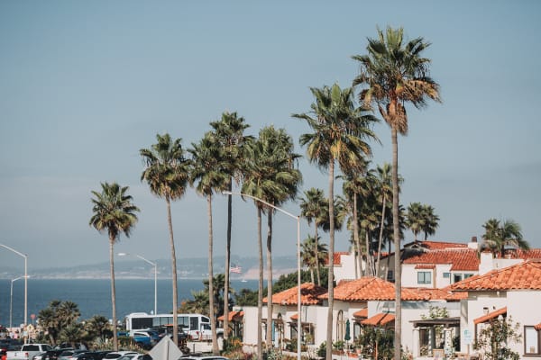 La Jolla Cove Wedding | A Coastal San Diego Celebration, photo 29