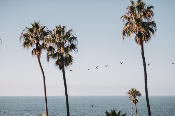 La Jolla Cove Wedding | A Coastal San Diego Celebration, photo 55