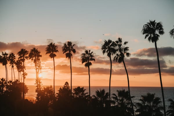 La Jolla Cove Wedding | A Coastal San Diego Celebration, photo 76